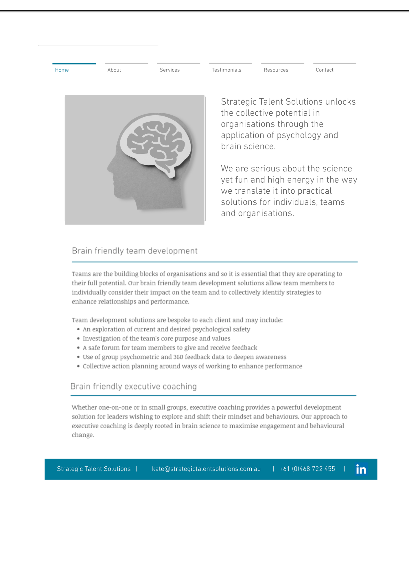 Strategic Talent Solutions homepage before rebrand